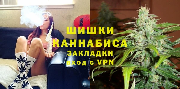 прущие грибы Арсеньев