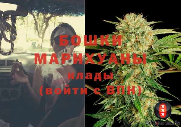 дживик Аркадак