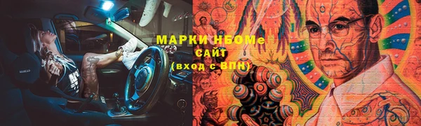 прущие грибы Арсеньев