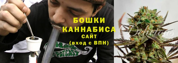 твердый Богданович